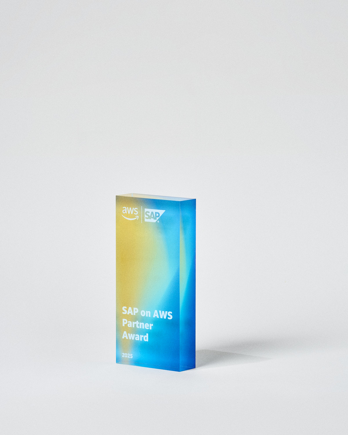 Troph&eacute;e en plexiglas personnalis&eacute; AWS Sustain Awards